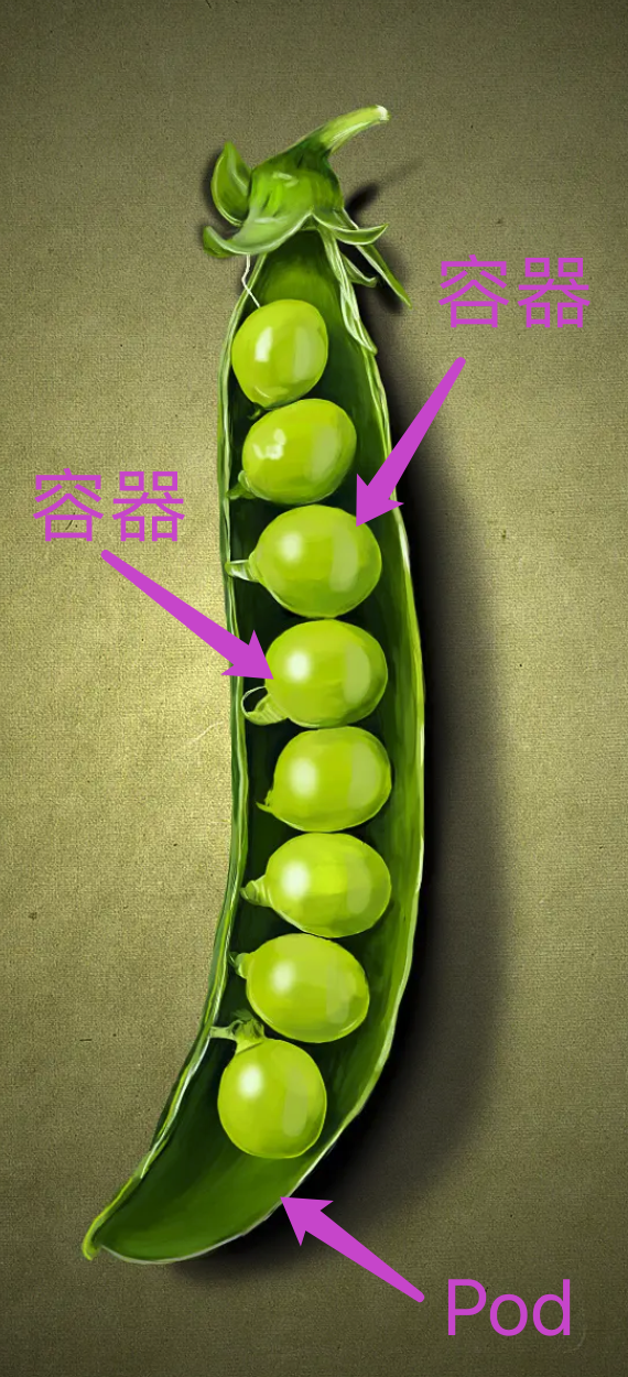 image-20220606092831793